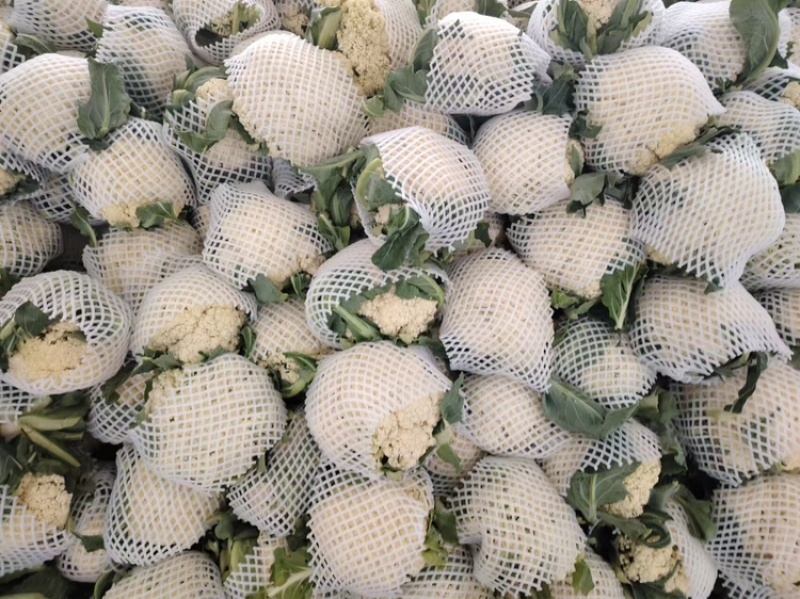 菜花支持视频看货，可发往全国市场