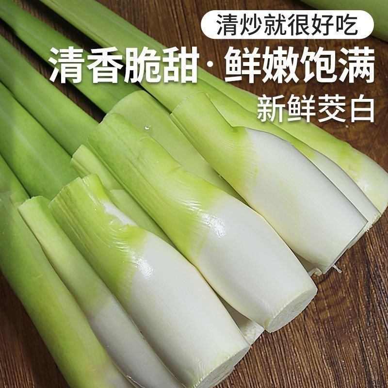 新鲜茭白特价冬笋时令蔬菜茭白现挖竹笋火锅配菜高瓜水笋高笋