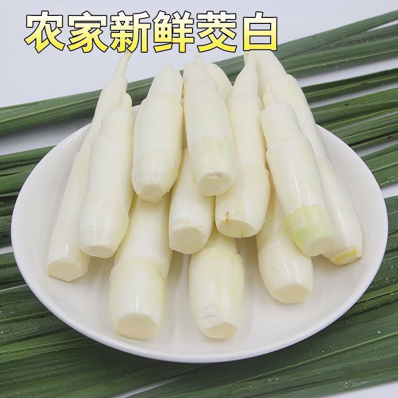 新鲜茭白特价冬笋时令蔬菜茭白现挖竹笋火锅配菜高瓜水笋高笋