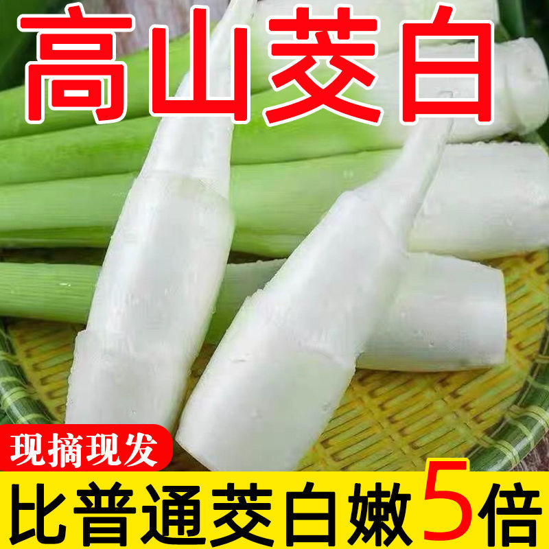 新鲜茭白特价冬笋时令蔬菜茭白现挖竹笋火锅配菜高瓜水笋高笋