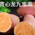黄心蜜薯烟薯，考薯各种规格专业代发