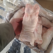 一级带筋母猪蹄