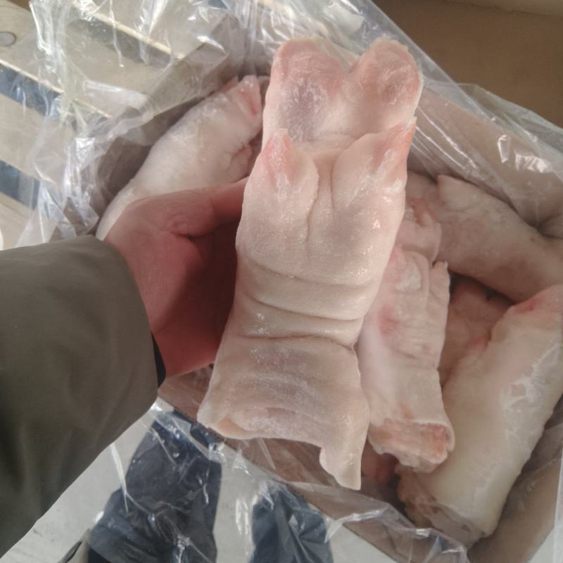 一级带筋母猪蹄