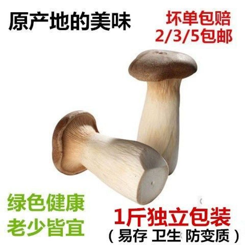杏鲍菇新鲜鸡腿菇火锅料理绿色蘑菇产地直发包邮一件代发