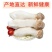 杏鲍菇新鲜鸡腿菇火锅料理绿色蘑菇产地直发包邮一件代发