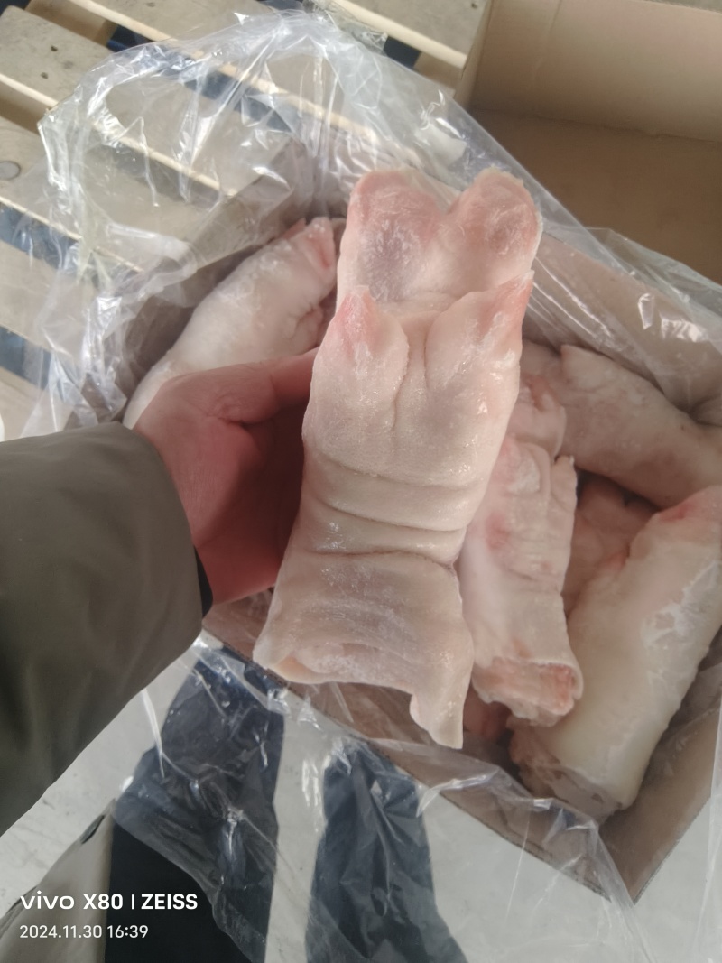 一级带筋母猪蹄