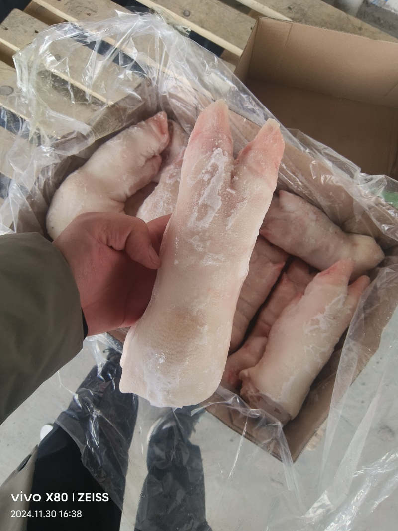 一级带筋母猪蹄