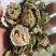 苦瓜颗粒，苦瓜片，苦瓜粉