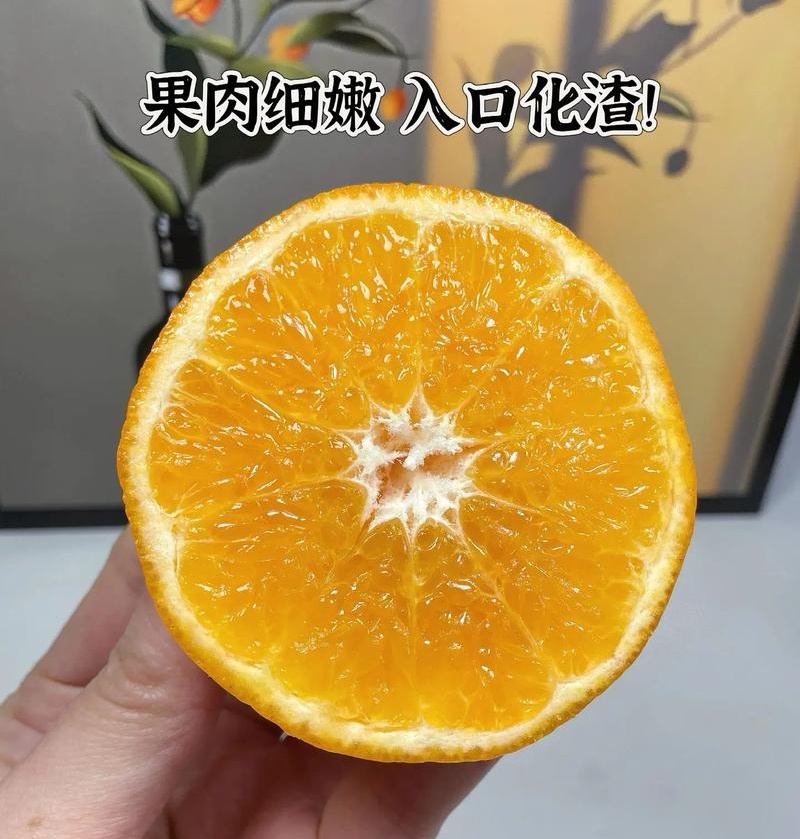 《沃柑》云南沃柑/基地现摘/现货直发/全国发货/上货中