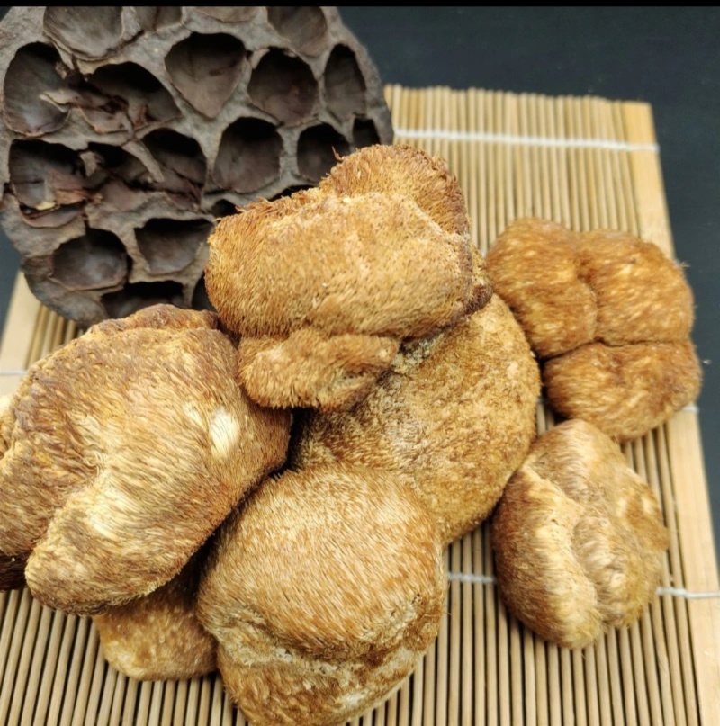 东北特产养生菌正宗干货猴头菇新鲜非精品非野生包邮