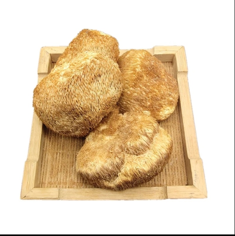东北特产养生菌正宗干货猴头菇新鲜非精品非野生包邮