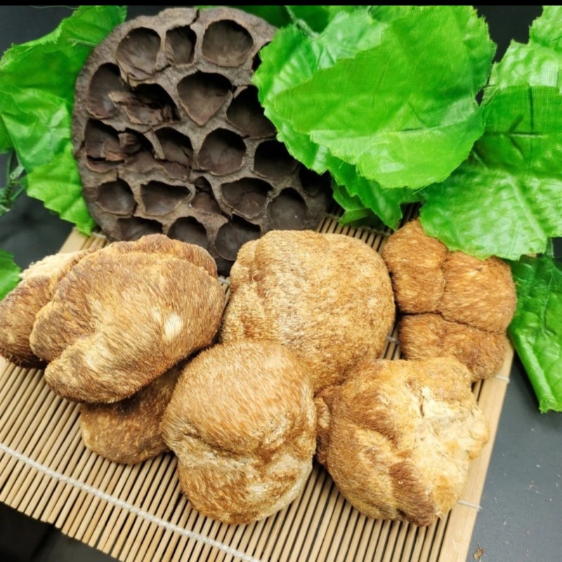 东北特产养生菌正宗干货猴头菇新鲜非精品非野生包邮