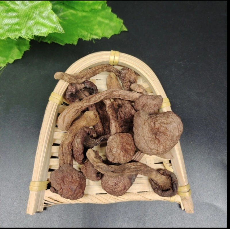 东北特产小松伞红蘑菇泡发率高干净无杂质非野生品质高包邮