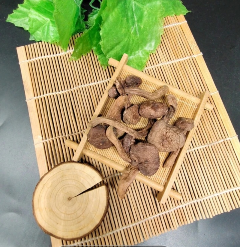 东北特产小松伞红蘑菇泡发率高干净无杂质非野生品质高包邮