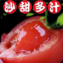 露天大西红柿新鲜蔬菜农家小番茄孕妇水果自然熟3斤5斤10