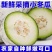 5斤云南新鲜小冬瓜当季小长节白冬瓜露天翠玉嫩东瓜火锅食材