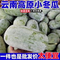 5斤云南新鲜小冬瓜当季小长节白冬瓜露天翠玉嫩东瓜火锅食材
