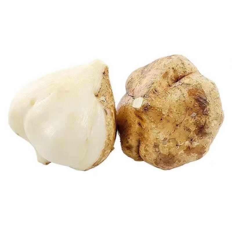 广西凉薯现挖新鲜蔬菜水果农家自种白地瓜豆薯番薯1/3/5