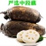 【现挖现发】湖北洪湖粉藕新鲜煲汤藕青泥巴藕面藕炖汤粉糯莲