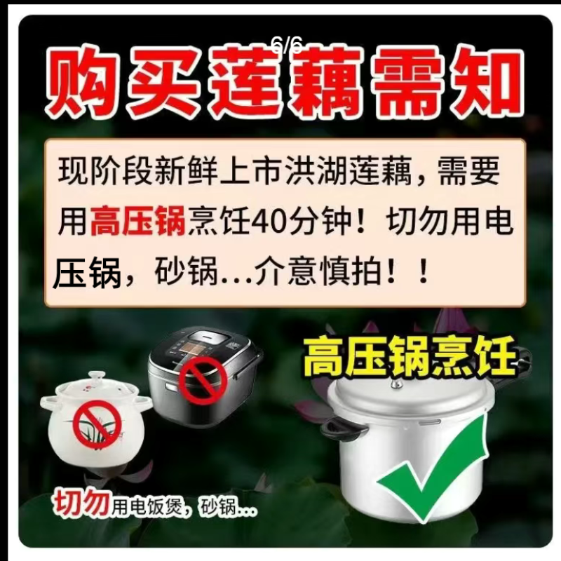 【现挖现发】湖北洪湖粉藕新鲜煲汤藕青泥巴藕面藕炖汤粉糯莲