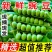 正宗云南新鲜豌豆带壳青豌豆荚蔬菜整箱批发价甜