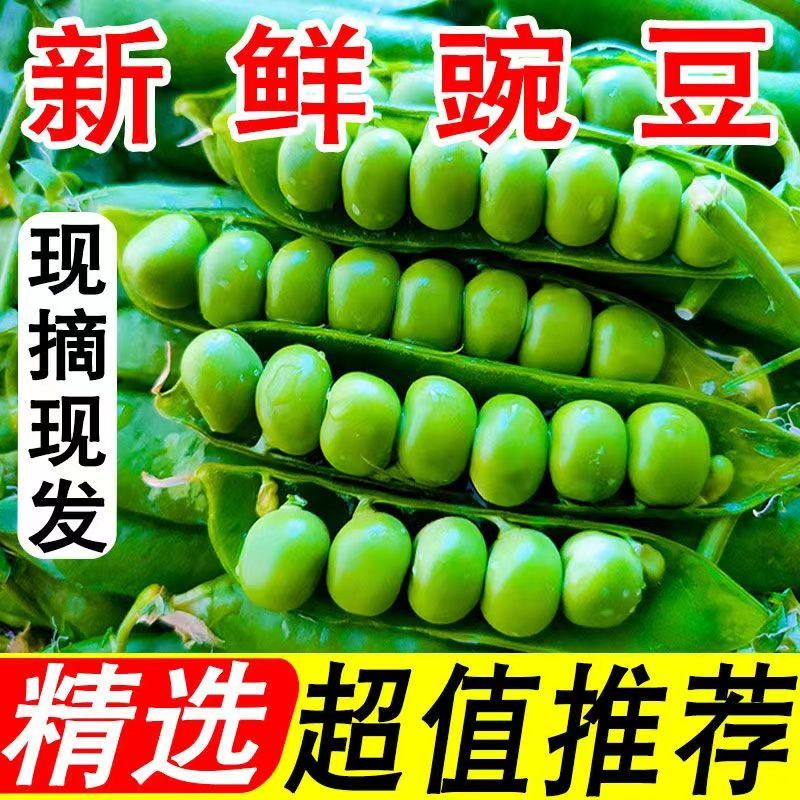 正宗云南新鲜豌豆带壳青豌豆荚蔬菜整箱批发价甜