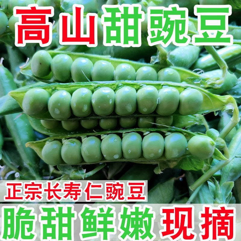 正宗云南新鲜豌豆带壳青豌豆荚蔬菜整箱批发价甜