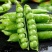 正宗云南新鲜豌豆带壳青豌豆荚蔬菜整箱批发价甜