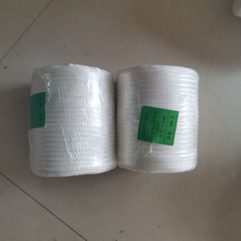 大棚压膜带卷装