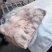 脊膘干货手续齐全鲜品分割全国冷链物流发货