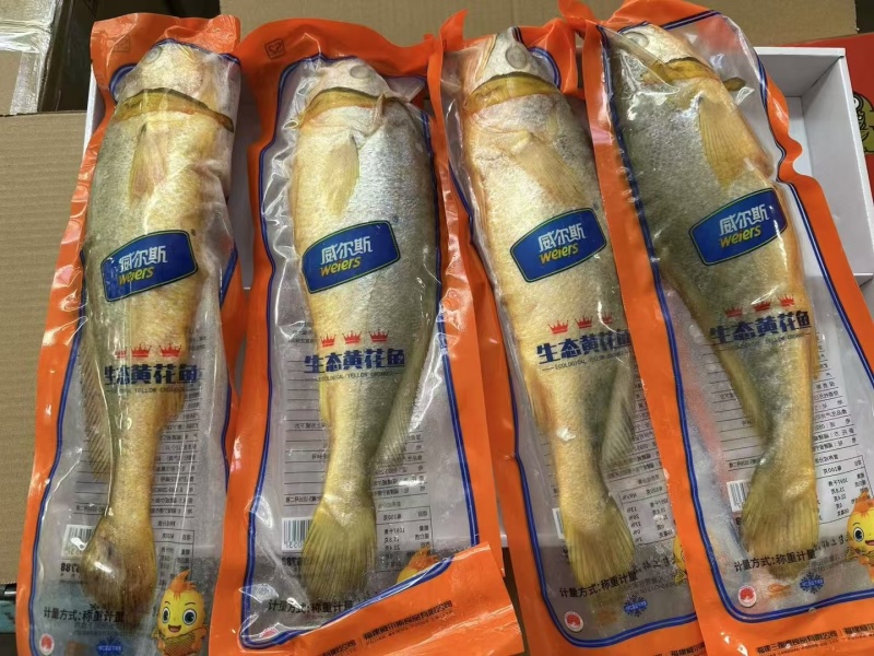开背黄鱼适合酒店