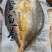 开背黄鱼适合酒店