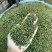 精品青花椒大量供应，货源充足，量大从优，支持免费打粉