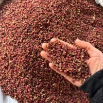 安徽亳州红花椒大量供应，货源充足，量大从优，免费打粉。