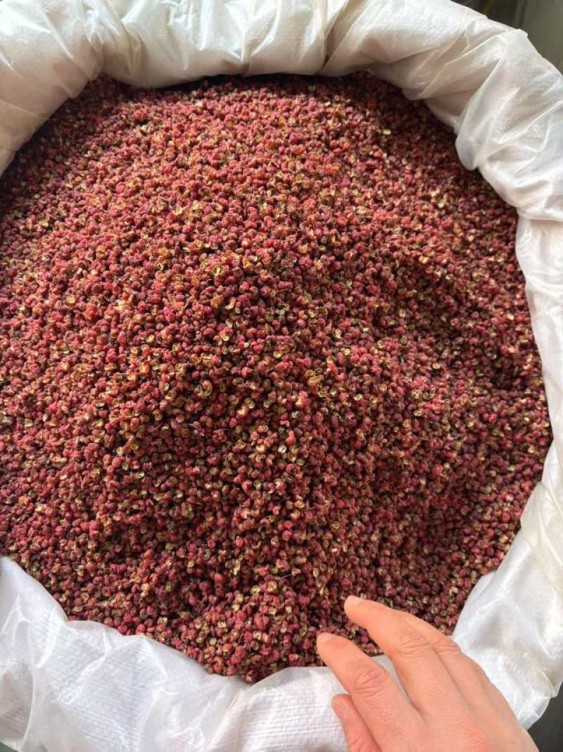安徽亳州红花椒大量供应，货源充足，量大从优，免费打粉。