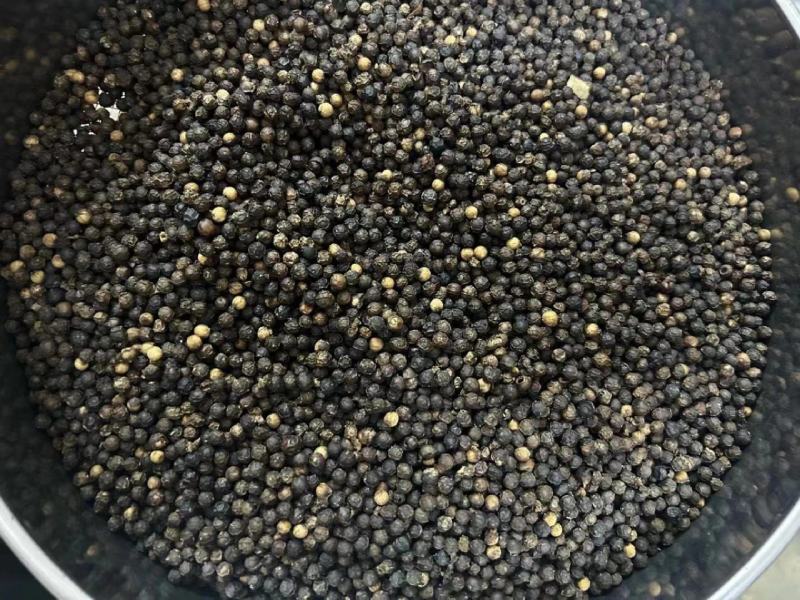包邮精品黑胡椒大量供应，安徽亳州发货，支持免费打粉。