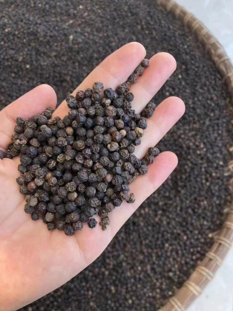 包邮精品黑胡椒大量供应，安徽亳州发货，支持免费打粉。