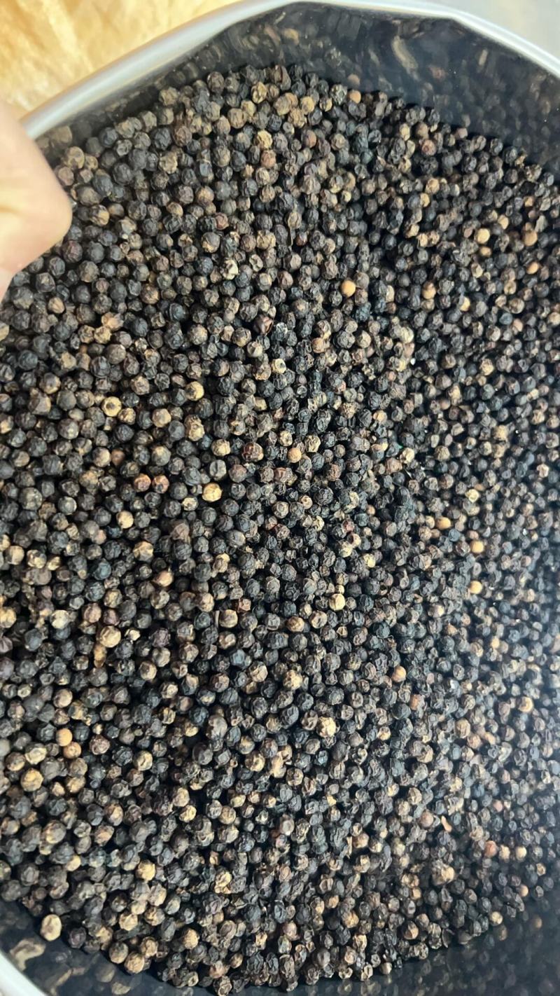 包邮精品黑胡椒大量供应，安徽亳州发货，支持免费打粉。