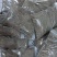 包邮精品黑胡椒大量供应，安徽亳州发货，支持免费打粉。