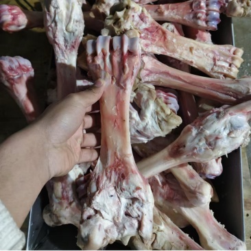 牛蹄骨，厂家直销。量大从优。可视频看货。无后顾之忧。