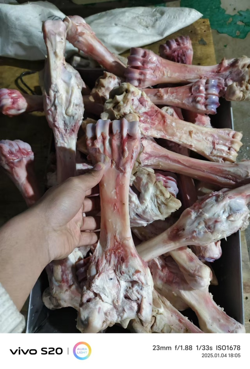 牛蹄骨，厂家直销。量大从优。可视频看货。无后顾之忧。