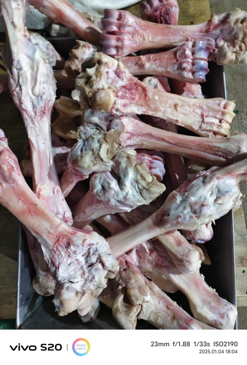 牛蹄骨，厂家直销。量大从优。可视频看货。无后顾之忧。