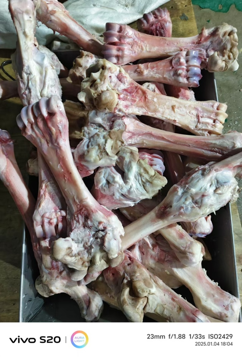 牛蹄骨，厂家直销。量大从优。可视频看货。无后顾之忧。
