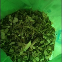 牛奶根，砍段牛奶根