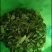 牛奶根，砍段牛奶根
