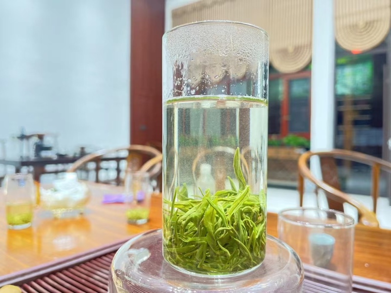 海拔高空气好云雾缭绕天然氧吧云雾茶