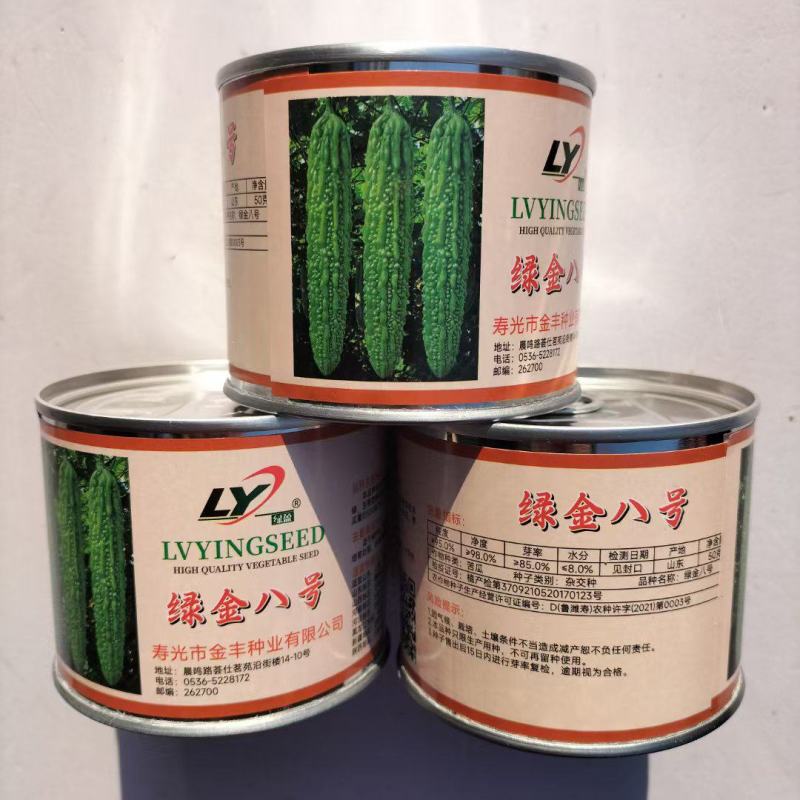 寿丰金丰绿金八号苦瓜种子翠绿疙瘩绿苦瓜种籽春秋播蔬菜种籽
