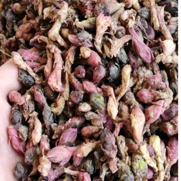 甘肃产地款冬花，精品纯干货，颜色漂亮，产地直发，全国包邮