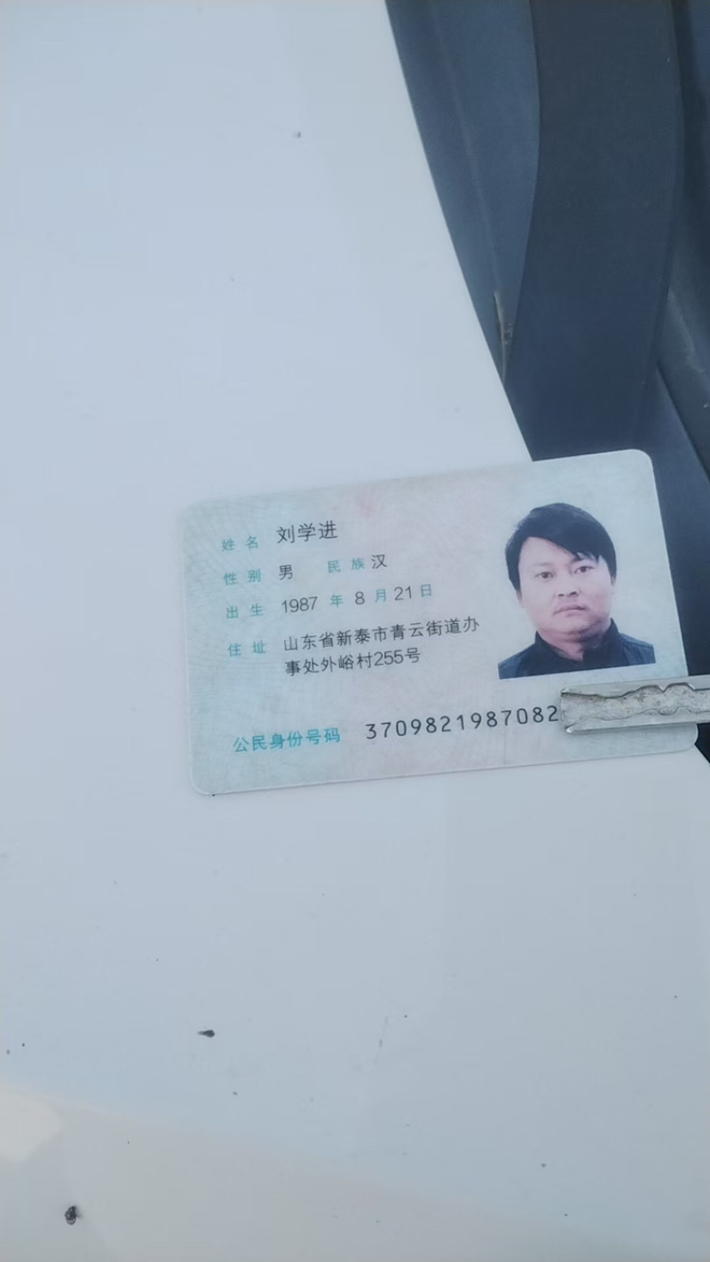珍珠油杏苗杏树苗基地供应量大质优免费指导技术