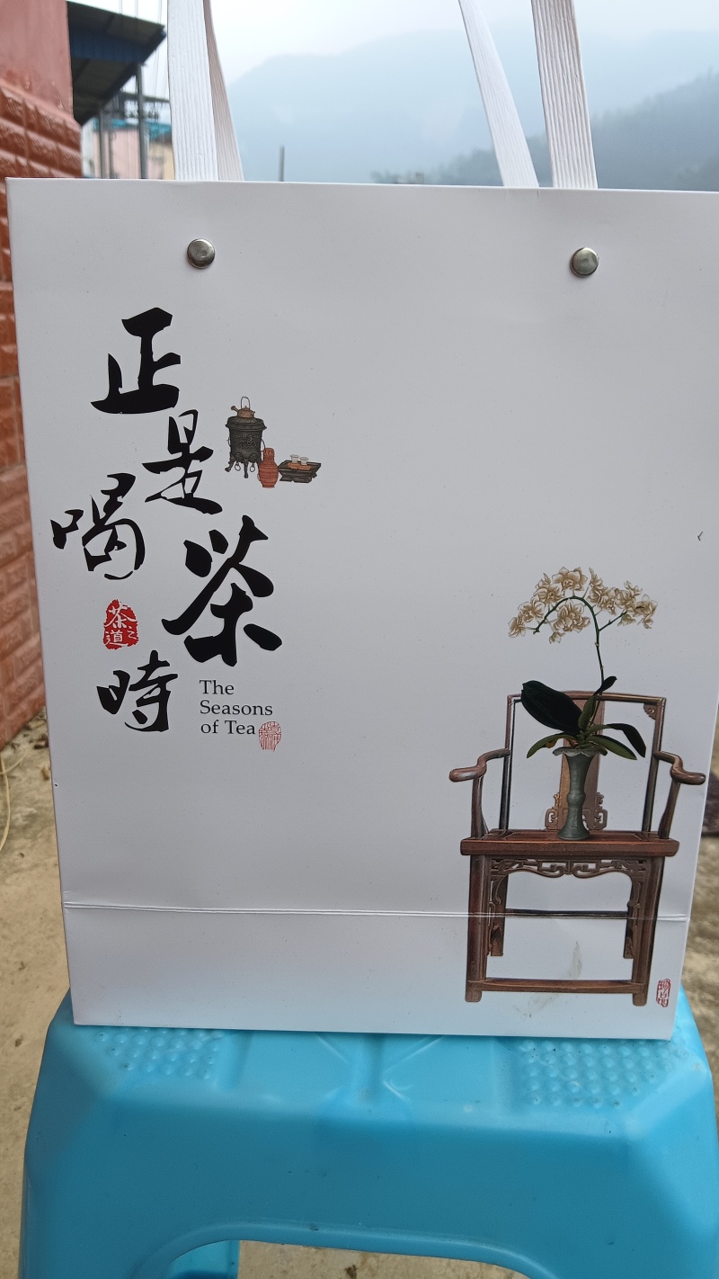 2025年新普洱大树春茶